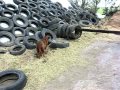 movie.wmv