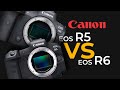 Canon eos r5 vs eos r6  specs comparison