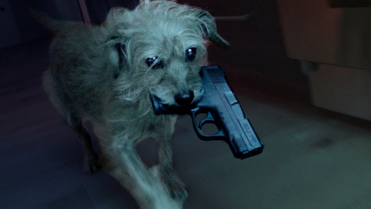 The internet (and dogs) react to John Wick 3 trailer