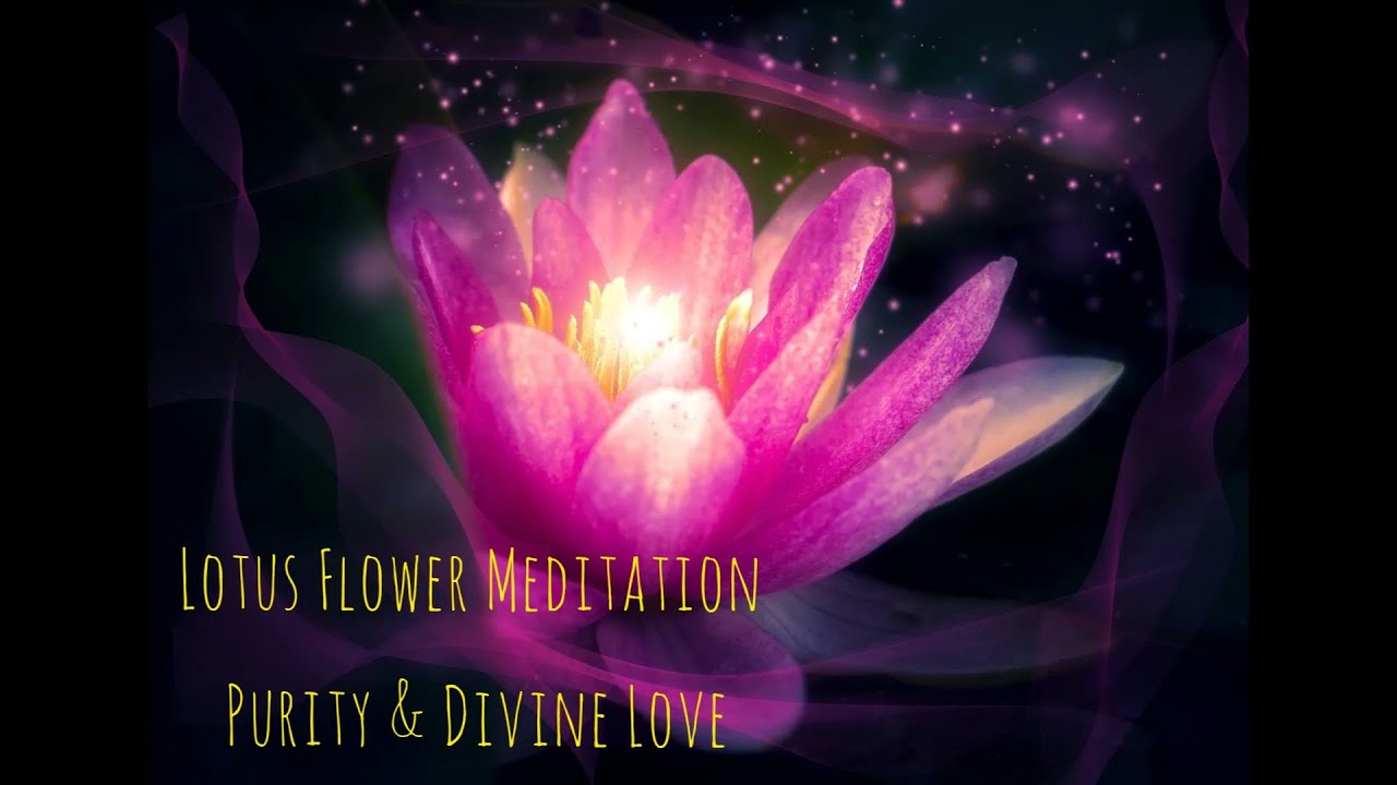 Lotus Flower Meditation | Purity & Divine Love