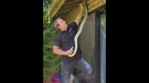 Snake handler