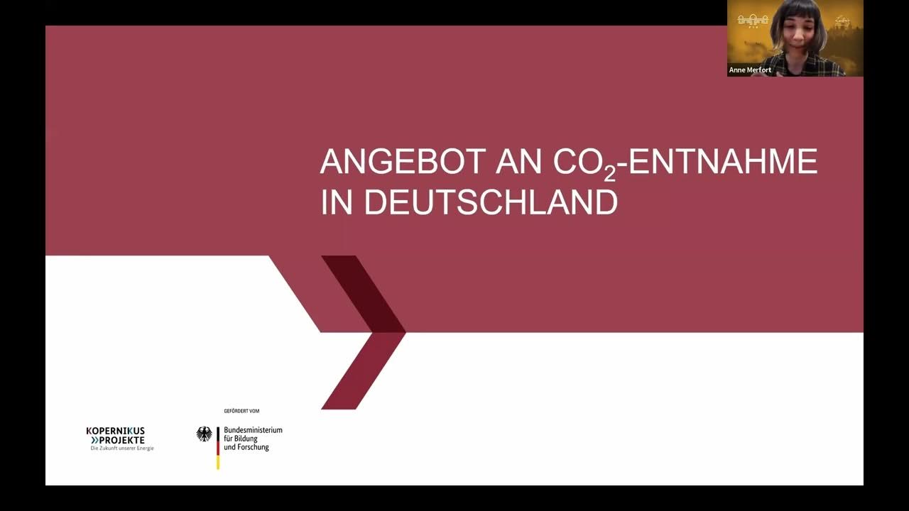 Webinar Energiewende auf NettoNull Was tun mit den deutschen