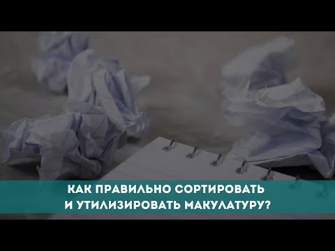 Как правильно сортировать и утилизировать макулатуру?