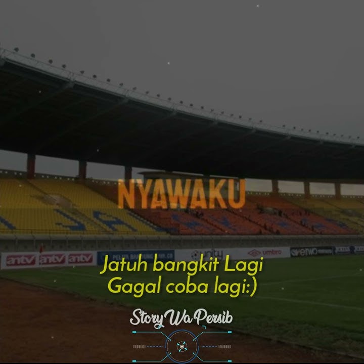 Story Wa Persib Bandung Std jalak Harupat