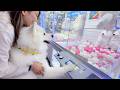初めてクレーンゲームに挑戦した犬が想像以上に上手すぎて驚きました…