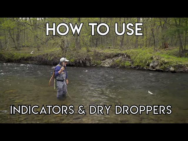 Indicators & Dry Droppers 