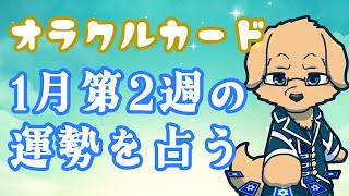 【週間占い】8日～14日の運勢を占います！/ オラクルカード第30回【ケモノVtuber/星戌セン/ #オラクルカード #占い】