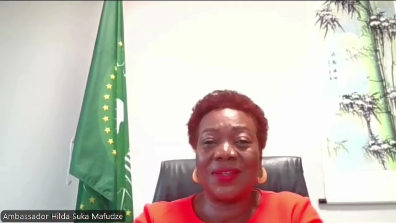 Ambassador Hilda Suka Mafudze Promo 1
