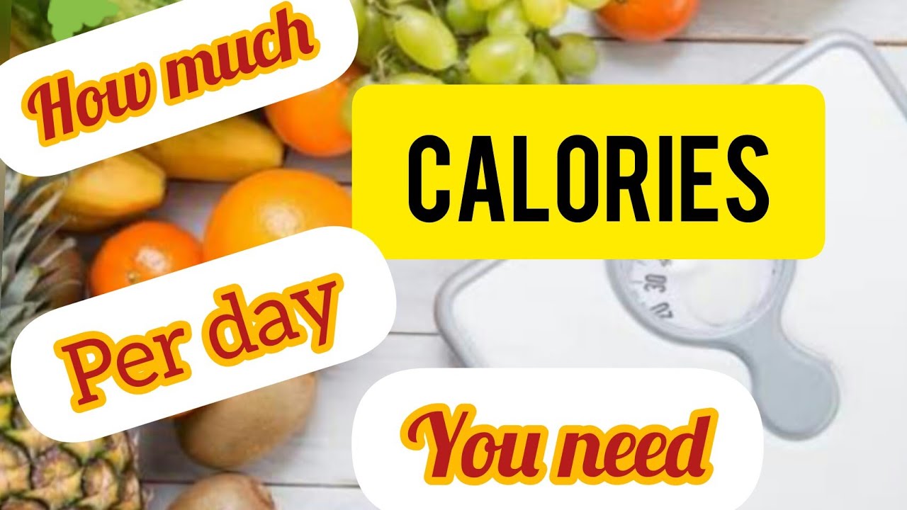 Calculate your calories. How much calories per day you need? YouTube