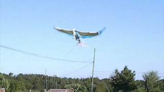 Flapping Winged Aircraft