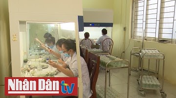 Sản xuất giống cây lâm nghiệp ứng dụng công nghệ cao