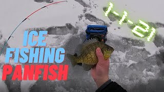 ICE FISHING | BLUEGILLS | 5 FISH IN 5 MINUTES | MONONA BAY | MADISON WI