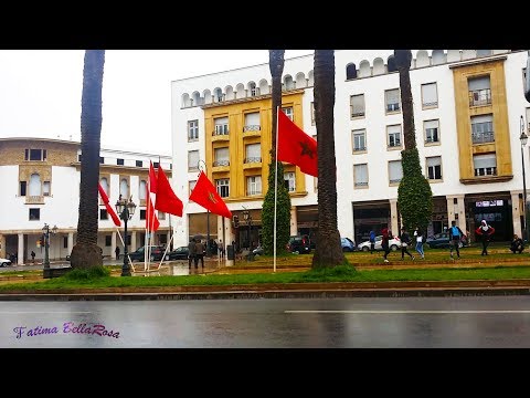 السفارة المصرية بالرباط    ❤️😍😊 اجيو ناخد التأشيرة او الفيزا لمصر  😍