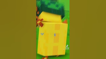 Minecraft#minecraft #shorts #minecraft #gaming #minecraft #video #trending #video