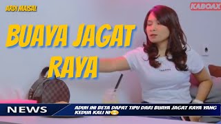 Story wa terbaru Story wa kaboax ketawa bareng orang kupang 30 detik