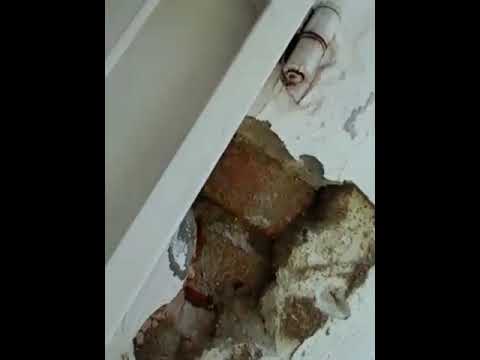 Vídeo: Como você se livra de cupins atrás de drywall?