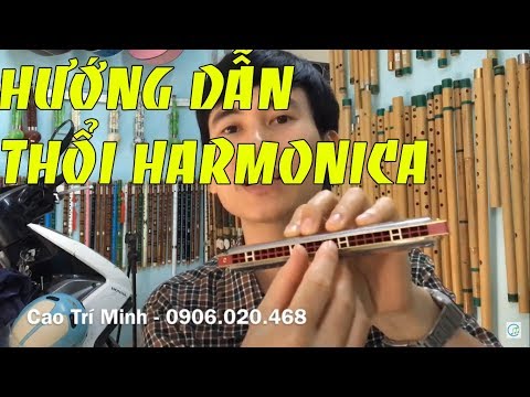 Hướng dẫn cơ bản cách thổi Harmonica || Cao Trí Minh 2019