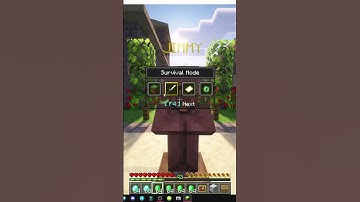 HOW TO TRADE WITH AN NPC USING THE EASY NPC MOD