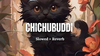 Chichubuddi (Slowed + Reverb) | RAAG DROPZ | Dacoit | Adivi Sesh | Jonita x Ram Miryala