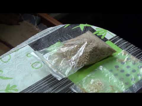 В Мурманске перед судом предстанут участники группы, обвиняемые в распространении наркотиков