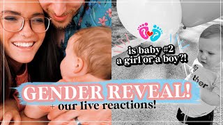 💗💙👶 How to make a GENDER REVEAL VIDEO of the BABY - GENDER