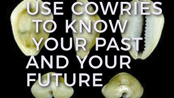 How to use Cowries to know Your past and the future #theseer #cowrieshell #cowrie #spiritualtips