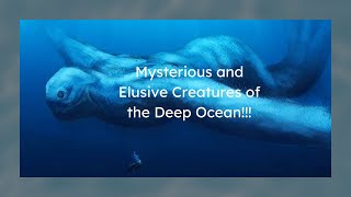 Beyond The Blue:Mysterious and Elusive Creatures of Deep Ocean !!! #oceans #creatures #animals