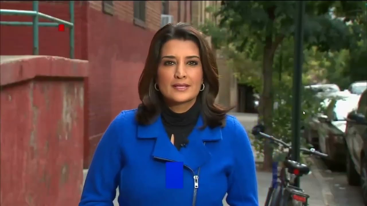 Грабитель-изгой пытался силой проникнуть в дом женщины | Воспоминания