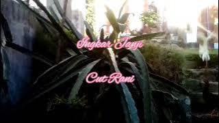 Lagu Cut Rani Auliza|| Ingkar Janji
