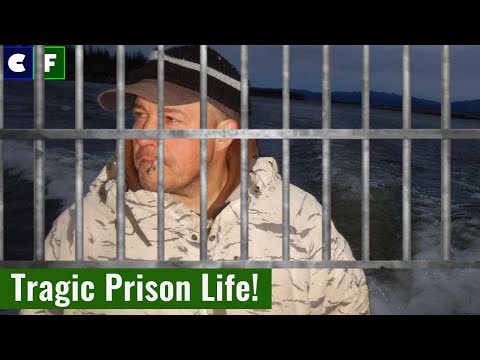 Video: Mengapa chip dari kehidupan di bawah nol masuk penjara?