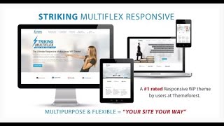 Striking   MultiFlex and Ecommerce Responsive WP Theme