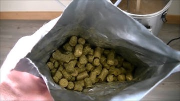 Grainfather Brew Day #1