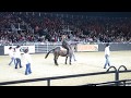 Супер танцы с лошадью! Отлично придумали