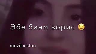 Камари борик дори 🌹🌹🌹новая песня