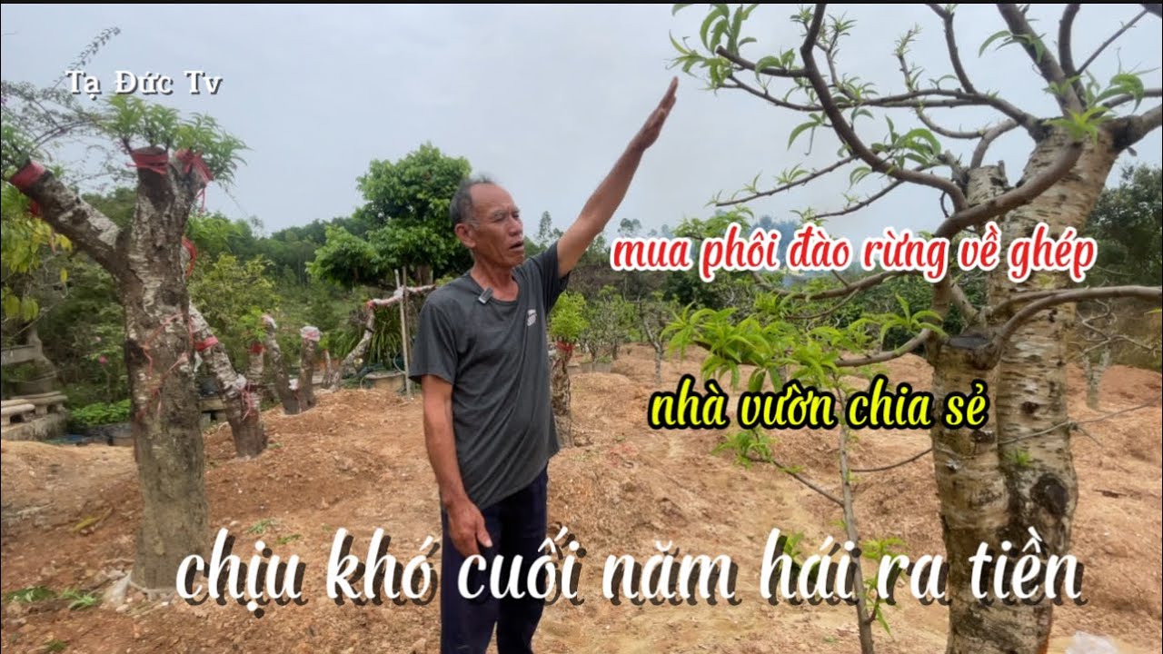 Садоводы делятся техниками и прибылью.