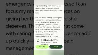 Help Rosey, gofundme link in description, thanks #rosey #gofundme