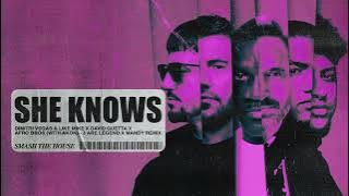 She Knows [with Akon] [3 Are legend x MANDY Remix] (Visualizer)