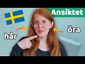 Body parts in Swedish: the face (Kroppsdelar)