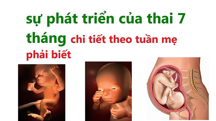 Bầu 7 tháng con nặng bao nhiêu