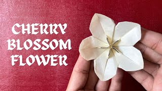 Origami Cherry Blossom Flower | Paper Flower #cherryblossom #paperflower #origamiflower #handmade