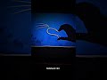Hacker lover