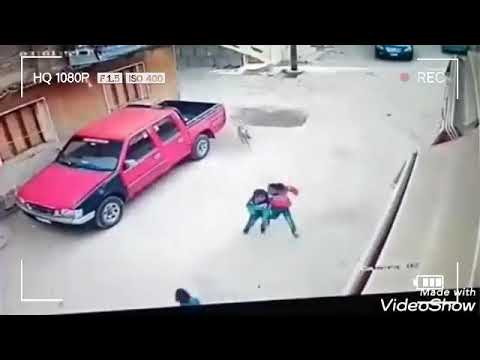 اسلعوه تهاجم اطفال في الشارع وي هتاجم طفل مع والدها اخناتون مصر