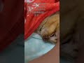 明日初七日#ともぞう