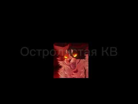 коты воители Кленовница - YouTube