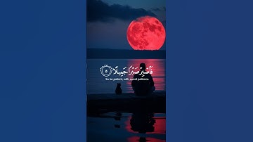 أكتب شيء تؤجر عليه 😴💛  #إسلام_صبحي #تلاوة_هادئة #هدوء #قرآن #Quran #اكسبلور #حالات_واتس #reels