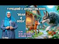 Турецкий с ароматом кофе. &quot;Волк и Осёл&quot;