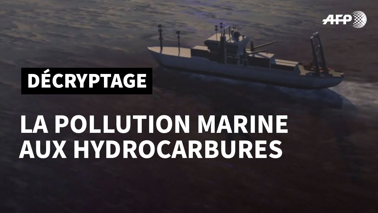 La pollution marine aux hydrocarbures | AFP Animé - YouTube