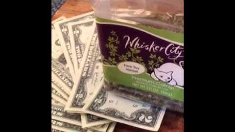 CATNIP FEVER!  Featuring the song 