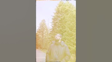الله خالق كل شي وهو علي كل شي وكيل | القرآن الكريم