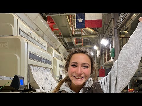 Video: ¿Dónde cultivan algodón en Texas?